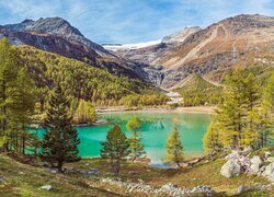 Góry i drzewa nad Palu Lake w Szwajcarii