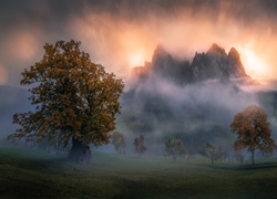 Góry i drzewa spowite mgłą
