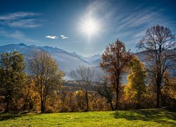 Jesień, Drzewa, Góry, Alpy Pennińskie, Słoneczny, Blask, Kanton Valais, Szwajcaria