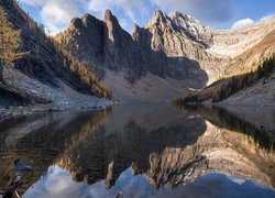 Jezioro, Agnes Lake, Góry, Drzewa, Ptak, Park Narodowym Banff, Prowincja, Alberta, Kanada