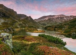 Góry, Jezioro Giglachseen, Roślinność, Austria