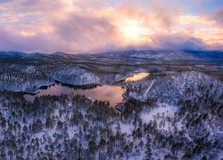 Zima, Góry, Jeziora, Goldwater Lake, Drzewa, Z lotu ptaka, Arizona, Stany Zjednoczone