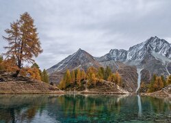 Jesień, Góry, Jezioro, Lac Bleu, Żółte, Drzewa, Modrzewie, Szwajcaria