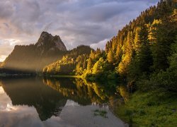 Góry, Jezioro, Lac de Taney, Drzewa, Chmury, Szwajcaria