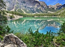Góry, Jezioro, Lago di Braies, Pragser Wildsee, Drzewa, Włochy