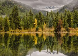 Jesień, Góry Skaliste, Las, Drzewa, Jezioro, Officers Gulch Pond, Kolorado, Stany Zjednoczone