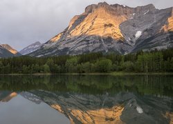 Góry, Jezioro, Wedge Pond, Drzewa, Odbicie, Alberta, Kanada