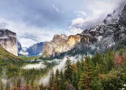 Góry i las zasnute mgłą w kalifornijskim Parku Narodowym Yosemite