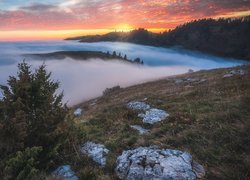 Góry i lasy we mgle o zachodzie słońca