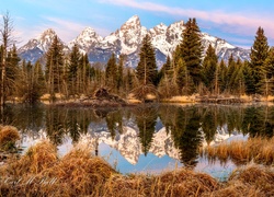 Góry i świerki nad stawem