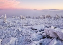 Zima, Góry Jesioniki, Śnieg, Roślinność, Skały, Mgła, Kraj ołomuniecki, Czechy