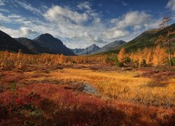 Góry Kołymskie jesienią