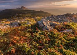 Góry Otkliknoi Greben, Południowy Ural, Park Narodowy Taganaj, Obwód czelabiński, Rosja