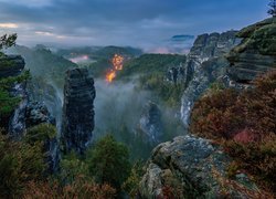 Góry, Skały, Drzewa, Rośliny, Mgła, Park Narodowy Saskiej Szwajcarii, Niemcy