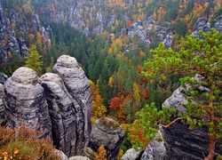 Niemcy, Park Narodowy Saskiej Szwajcarii, Góry Połabskie, Skały, Drzewa