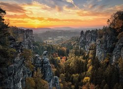 Drzewa, Las, Skały, Mgła, Zachód słońca, Góry Połabskie, Park Narodowy Saskiej Szwajcarii, Saksonia, Niemcy