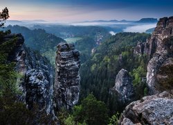 Niemcy, Park Narodowy Saskiej Szwajcarii, Góry Połabskie, Skały, Drzewa, Poranek