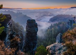 Góry Połabskie, Skały, Drzewa, Mgła, Skały, Park Narodowy Saskiej Szwajcarii, Niemcy