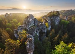 Park Narodowy Saskiej Szwajcarii, Skały, Góry Połabskie, Niemcy, Lasy, Drzewa, Wschód słońca