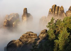 Niemcy, Park Narodowy Saskiej Szwajcarii, Góry Połabskie, Drzewa, Skały, Mgła