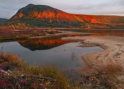 Góry Kołymskie, Drzewa, Jezioro Jack London, Kołyma, Magadan, Rosja