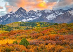 Góry, San Juan Mountains, Las, Drzewa, Chmury, Jesień, Kolorado, Stany Zjednoczone