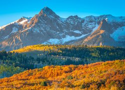 Jesień, Góry, San Juan Mountains, Lasy, Kolorowe, Drzewa, Słoneczny, Dzień, Stan Kolorado, Stany Zjednoczone