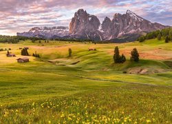 Dolina Val Gardena, Góry Sassolungo, Dolomity, Płaskowyż Seiser Alm, Domki, Łąki, Drzewa, Chmury, Włochy