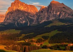 Dolomity, Góry Sassolungo, Drzewa, Lasy, Włochy