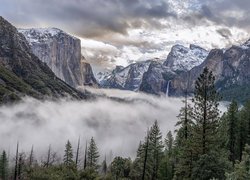 Góry Sierra Nevada i las we mgle
