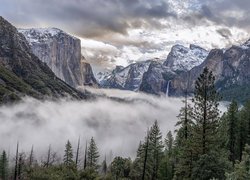 Góry, Drzewa, Mgła, Chmury, Park Narodowy Yosemite, Kalifornia, Stany Zjednoczone