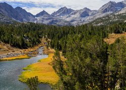 Góry Sierra Nevada i lasy nad rzeką Rock Creek