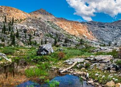 Góry, Sierra Nevada Mountains, Staw, Drzewa, Kamienie, South Lake Tahoe, Kalifornia, Stany Zjednoczone