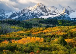 Góry Skaliste i kolorowe drzewa w Kolorado