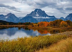 Park Narodowy Grand Teton, Góry Skaliste, Rzeka, Snake River, Krzewy, Las, Drzewa, Jesień, Stan Wyoming, Stany Zjednoczone