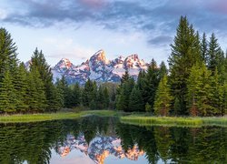 Góry Skaliste i zielone drzewa nad rzeką Snake River