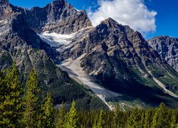 Góry Skaliste, Lasy, Drzewa, Park Narodowy Banff, Prowincja Alberta, Kanada
