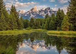 Park Narodowy Grand Teton, Rzeka Snake River, Góry Teton Range, Las, Drzewa, Chmury, Odbicie, Stan Wyoming, Stany Zjednoczone