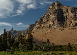 Góry, Skały, Drzewa, Świerki, Trawa, Park Narodowy Glacier, Montana, Stany Zjednoczone