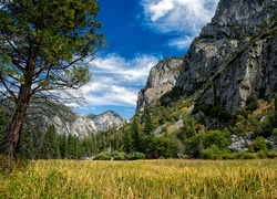 Park Narodowy Kings Canyon, Kalifornia, Góry