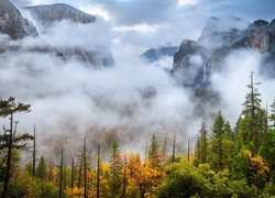 Stany Zjednoczone, Kalifornia, Góry, Drzewa, Lasy, Jesień, Mgła, Park Narodowy Yosemite