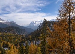 Ośnieżone, Szczyty, Góry, Dolomity, Dolina, Lasy, Drzewa, Jesień, Południowy Tyrol, Włochy