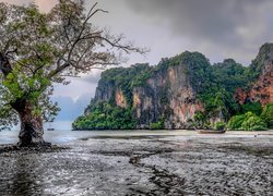 Góry, Zatoka East Railay Bay, Drzewo, Łódki, Ao Nang, Krabi, Tajlandia