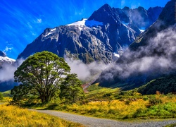 Góry w Zatoce Milforda w Nowej Zelandii