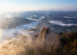 Wierzchołki, Góry, Mgła, Park prowincjonalny Daedunsan, Drzewa, Skały, Prowincja Jeolla Północna, Korea Południowa