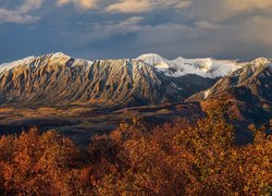 Góry, West Elk Mountains, Brązowe, Krzewy, Przełęcz, Kebler Pass, Kolorado, Stany Zjednoczone