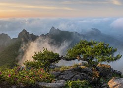 Góry Wolchulsan w Korei Południowej