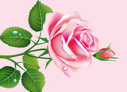 Grafika 2D, Różowa, Róża