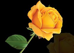 Graficzna żółta róża