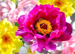 Graficzne barwne kwiatki
